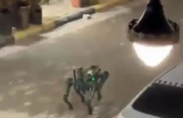 ما هي الكلاب الروبوتية التي استخدمت بمداهمة الرمثا؟