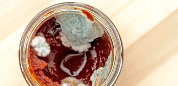 هل يجب استعمال معجون الطماطم بعد إزالة العفن؟ دراسة تجيب