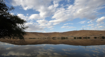 وزارة المياه: ارتفاع التخزين في السدود إلى 325 مليون م وتراجع الفاقد المائي إلى 40.9 