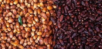 التمر الطازج أم المجفف: أيهما أفضل لصحتك؟