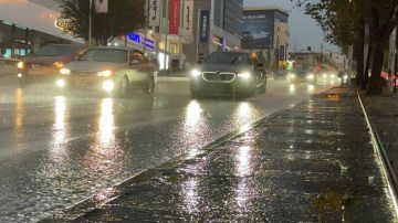 بيان هام من إدارة الدوريات الخارجية