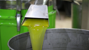 نقيب المعاصر يحذر من التهافت على شراء زيت الزيتون ويؤكد انخفاض الأسعار قريبا نقيب المعاصر يحذر من التهافت على شراء زيت الزيتون ويؤكد انخفاض الأسعار قريبا