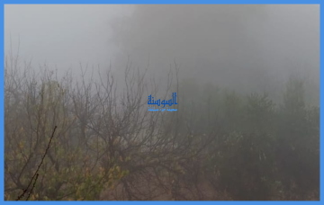 أمطار الخير تهطل في السلط .. فيديو أمطار الخير تهطل في السلط .. فيديو