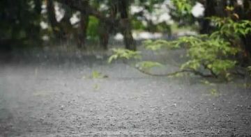 السبت .. منخفض جوي من الدرجة الثانية وأجواء باردة وغائمة