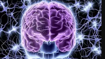 تمارين رياضية هامة تعزز قوة الدماغ تمارين رياضية هامة تعزز قوة الدماغ