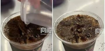 قهوة بالصراصير.. مشروب جديد يثير ضجة كبيرة في الصين