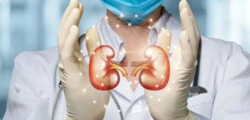 كيف يستفيد مرضى الفشل الكلوي من أدوية إنقاص الوزن؟ كيف يستفيد مرضى الفشل الكلوي من أدوية إنقاص الوزن؟
