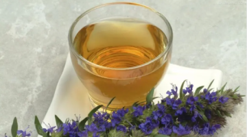 10 مشروبات ليلية تساعد على إنقاص الوزن 10 مشروبات ليلية تساعد على إنقاص الوزن