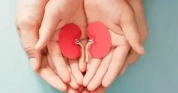 علماء يكتشفون طريقة جديدة لعلاج أمراض الكلى علماء يكتشفون طريقة جديدة لعلاج أمراض الكلى