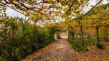 الأربعاء .. أجواء لطيفة ومستقرة