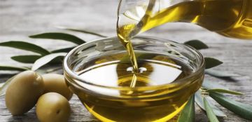 زيت الزيتون.. مفتاح الصحة وطول العمر
