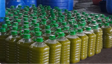 فلسطين: ضبط 300 كلغم زيت زيتون مغشوش قبل وصوله للأسواق فلسطين: ضبط 300 كلغم زيت زيتون مغشوش قبل وصوله للأسواق