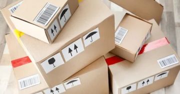 150 مليون دينار إيرادات متوقعة للقطاع البريدي في 2026