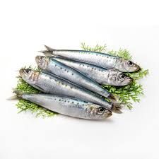 السردين أم التونة؟ أيهما أفضل لصحة القلب والبروتين؟ السردين أم التونة؟ أيهما أفضل لصحة القلب والبروتين؟