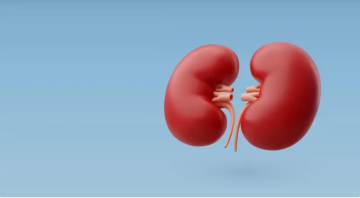 دراسة حديثة .. تحليل دم جديد يتنبأ بدقة أكبر بتطور أمراض الكلى دراسة حديثة .. تحليل دم جديد يتنبأ بدقة أكبر بتطور أمراض الكلى