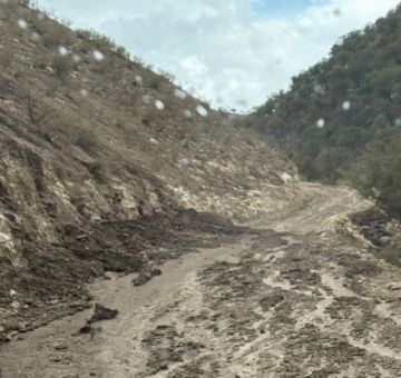 بلدية خالد بن الوليد تعيد فتح طريق ملكا الحيوي