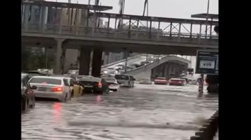 لماذا ارتفع منسوب المياه في الشميساني مع أول شتوة ؟