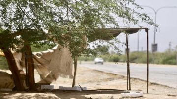 الحرارة أعلى من معدلاتها بـ 7 درجات الجمعة الحرارة أعلى من معدلاتها بـ 7 درجات الجمعة