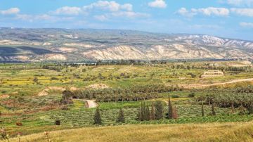 الحكومة تقر تعديلات قانون وادي الأردن لتعزيز حماية المياه الحكومة تقر تعديلات قانون وادي الأردن لتعزيز حماية المياه