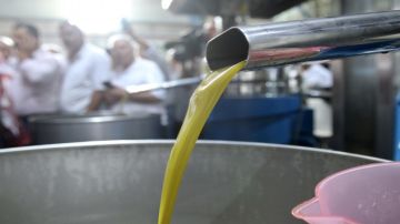 بدء استقبال طلبات استيراد زيت الزيتون من دول المجلس الدولي للزيتون