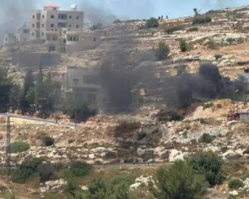 تقرير: الاحتلال يوظف عنف المستوطنين في خدمة مخططات التهجير