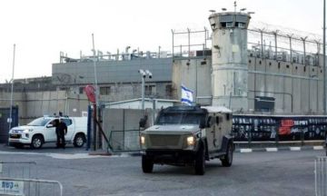 قضية اغتصاب أسيرة فلسطينية تتفاعل.. اتحاد المرأة يطالب ببعثة تقصي دولية إلى سجون الاحتلال عاجل قضية اغتصاب أسيرة فلسطينية تتفاعل.. اتحاد المرأة يطالب ببعثة تقصي دولية إلى سجون الاحتلال عاجل