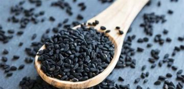 دراسة يابانية: حبة البركة تخفض الدهون في الدم بشكل لافت دراسة يابانية: حبة البركة تخفض الدهون في الدم بشكل لافت