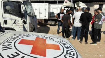 حكومة غزة تتسلم جثامين 45 شهيدا حكومة غزة تتسلم جثامين 45 شهيدا