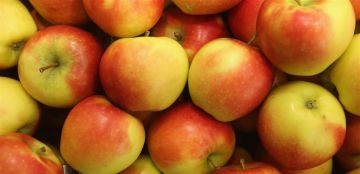 لماذا يجب تناول التفاح يوميا؟