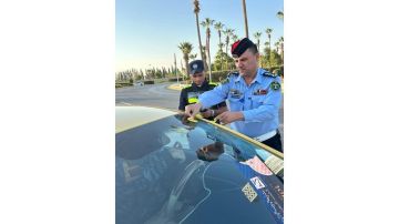 بدء الحملة الشتوية للتأكد من صلاحية المركبات