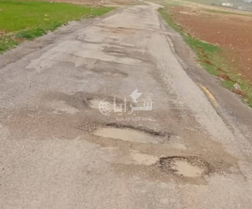  طريق رئيسي متهالك من 10 سنوات .. سكان الكرك يناشدون عبر سرايا بتعبيد هذا الشارع (صور)