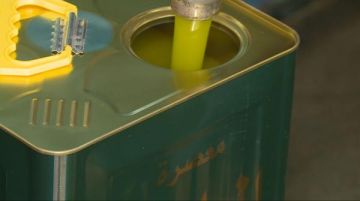 الزراعة: لا زيت مغشوش في مهرجان الزيتون