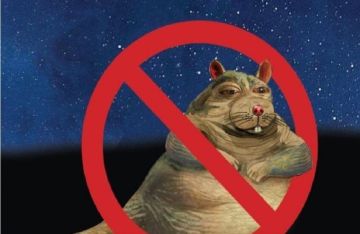 عمدة نيويورك ورسالة ساخرة عبر حاويات القمامة: الجرذان لا تحكم المدينة نحن من نحكمها!