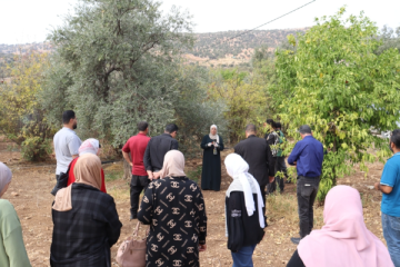 مركز إكساب ينظم يوما حقليا حول قطاع الزيتون مركز إكساب ينظم يوما حقليا حول قطاع الزيتون