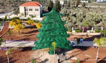 لبنانية تدخل غينيس بأكبر شجرة أرز بلاستيكية في العالم .. صور