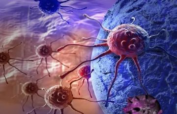 آلية خفية تسمح للخلايا السرطانية بالعودة مجددا بعد العلاج آلية خفية تسمح للخلايا السرطانية بالعودة مجددا بعد العلاج