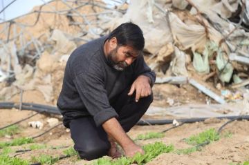 تقرير أممي جديد: الدول العربية تواجه أعلى مستويات الجوع منذ عقدين عاجل