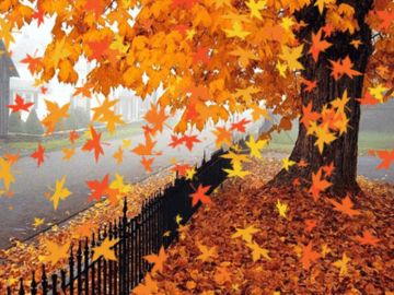 الأحد .. انخفاض طفيف على الحرارة