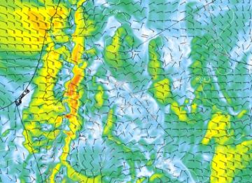 الرياح الشرقية تواصل نشاطها وتنعش أجواء الأردن