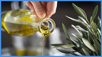 شروط اختيار المشاركين في مهرجان الزيتون