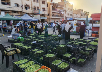 سوق الزيتون الموسمي في إربد.. عبق التراث وذاكرة الأرض