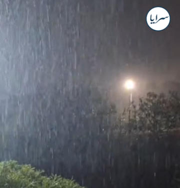 بالفيديو .. تجدد تساقط الأمطار بغزارة في عجلون بالفيديو .. تجدد تساقط الأمطار بغزارة في عجلون