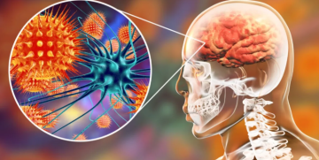 وفاة طالب جامعي بالسحايا في الطفيلة.. والصحة تفحص 46 مخالطا