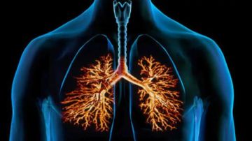 سر غذائي .. يقلل خطر أمراض القلب