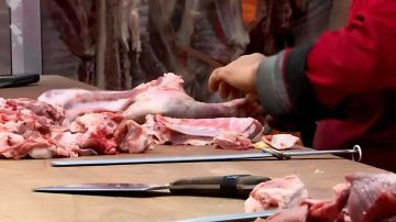 معدة للاستهلاك .. ضبط كمية ضخمة من اللحوم والدواجن الفاسدة في مصر