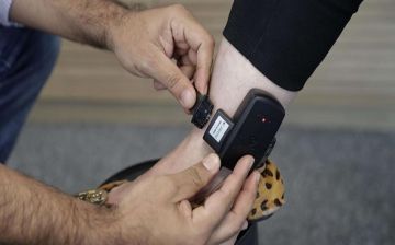 الأردن يمنح 14 ألف محكوم عقوبات بديلة خلال 8 سنوات الأردن يمنح 14 ألف محكوم عقوبات بديلة خلال 8 سنوات