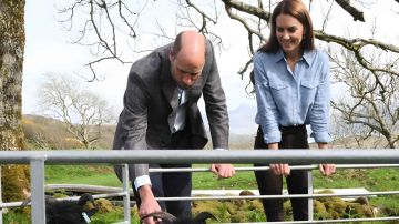 منزل جديد لويليام وكيت وسط توتر ملكي منزل جديد لويليام وكيت وسط توتر ملكي