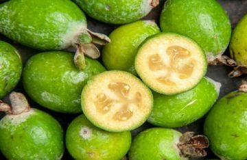 أهم فوائد الفيغوا للصحة