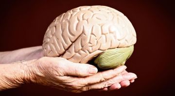 علماء يطورون طريقة لإبطاء شيخوخة الدماغ