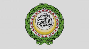 مجلس وزراء الإعلام العرب يؤكد دعم القضية الفلسطينية مجلس وزراء الإعلام العرب يؤكد دعم القضية الفلسطينية